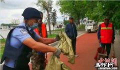 毒蛇现身黑河停车场！民警出手捕获剧毒...