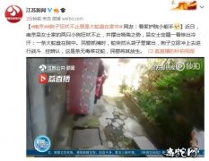 南京看家狗子狂吠不止！原是大蛇闯入家...