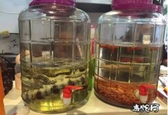 泡蛇酒、泡蛇酒用什么药材最好？