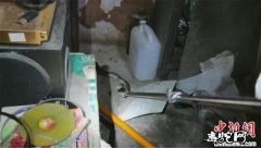 惠州一村民半夜家中现毒蛇！消防支队抓...