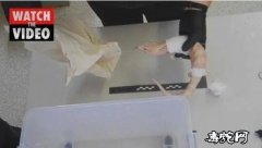 电饭锅藏大批蜥蜴！潍州华人非法藏运大...