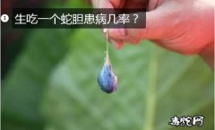 生吃一个蛇胆患病几率？