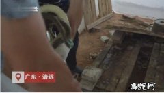 养蛇人新闻：广东养蛇户现状、蛇类停售...