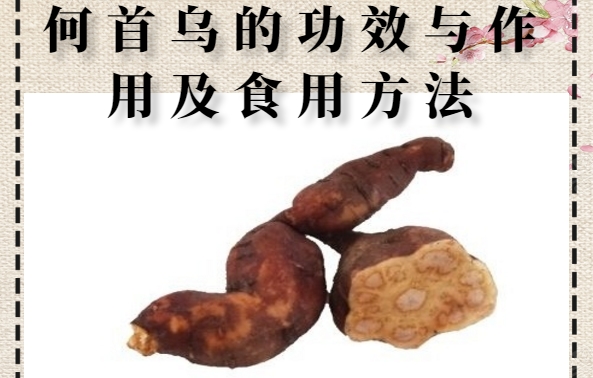 何首乌在民间有很多的传说果实,最多的还是人形何首乌的故事,民间说