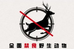 海南全面禁止食用陆生野生动物，包括人...