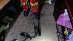 耒阳3斤毒蛇私闯民宅！消防员立即出警...