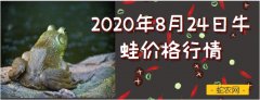 2020年8月24日牛蛙价格行情、今...