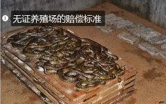 无证养殖场的赔偿标准2019？202...