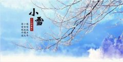 2020年小雪是几月几日？小雪节气风...