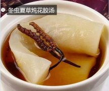 冬虫夏草炖花胶（鱼肚）汤做法步骤 -...