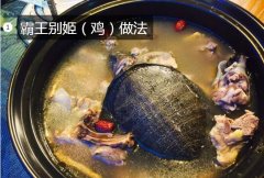 霸王别姬（鸡）做法步骤 - 功效补气...
