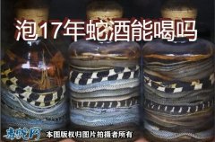 泡17年蛇酒能喝吗？