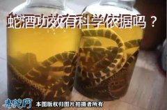 蛇酒功效有科学依据吗？