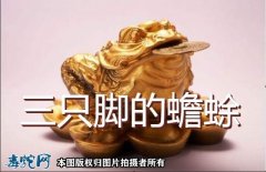 三只脚的蟾蜍、三只脚的蟾蜍叫什么？有...