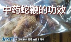 中药蛇鞭、中药蛇鞭的功效与作用？