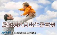 属蛇男几月出生最富贵？