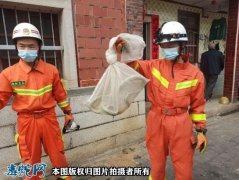 福建南安一民房内跑进1.5米菜花蛇！...