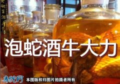 泡蛇酒牛大力、牛大力泡酒的功效与作用...