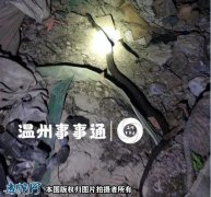 温州一居民家中惊现毒蛇！5名救援队员...