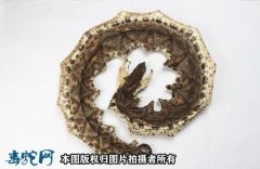 2021年5月27今日各地蕲蛇、五步...