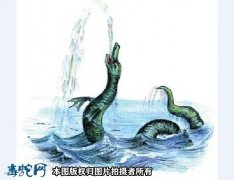 巨大海蛇的照片、海洋里有巨大的蛇吗？