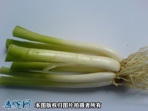 葱白姜汤图2