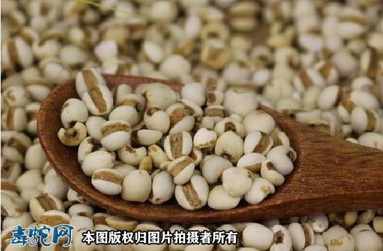 什锦饭卷图2