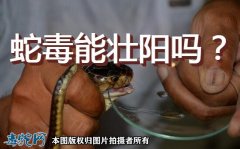 蛇毒壮阳、蛇毒能壮阳吗？