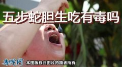 五步蛇的蛇胆生吃有毒吗？