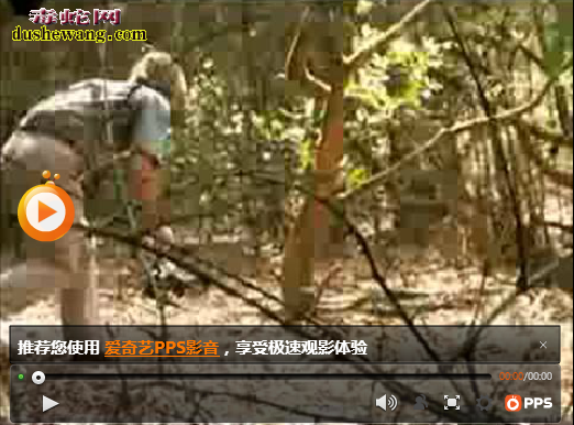 挑逗！世界上最大的毒蛇---眼镜王蛇...
