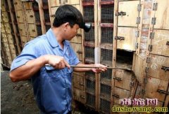 水律蛇室内养殖