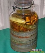 蛇酒的功效