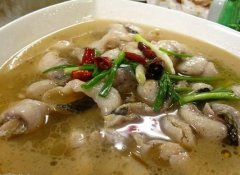 蛇肉做法大全