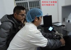 王锦蛇幼蛇养殖技术