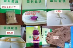 被毒蛇咬了怎么办