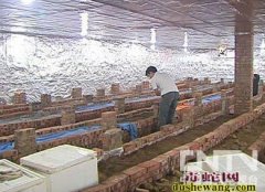毒蛇体外寄生虫蜱螨虫的防治