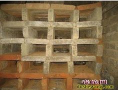 如何让毒蛇安全越冬  毒蛇越冬室科学...
